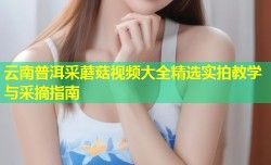 云南普洱采蘑菇视频大全精选实拍教学与采摘指南