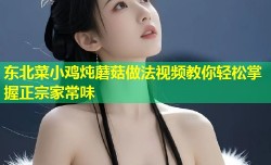 东北菜小鸡炖蘑菇做法视频教你轻松掌握正宗家常味