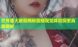 世界最大蘑菇揭秘震撼视觉体验探索真菌奥秘