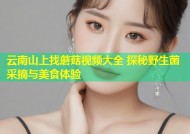 云南山上找蘑菇视频大全 探秘野生菌采摘与美食体验