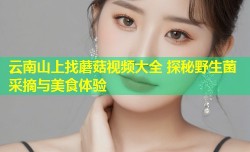 云南山上找蘑菇视频大全 探秘野生菌采摘与美食体验