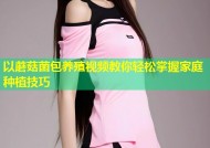 以蘑菇菌包养殖视频教你轻松掌握家庭种植技巧