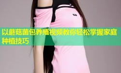以蘑菇菌包养殖视频教你轻松掌握家庭种植技巧