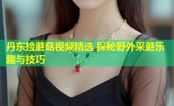 丹东捡蘑菇视频精选 探秘野外采蘑乐趣与技巧