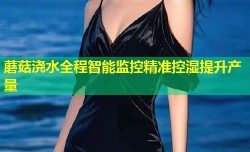 蘑菇浇水全程智能监控精准控湿提升产量