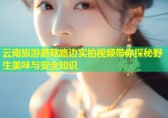 云南旅游蘑菇路边实拍视频带你探秘野生美味与安全知识