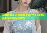 云南普洱采蘑菇视频下载平台 实时高清采菌体验尽在掌握