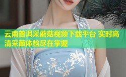 云南普洱采蘑菇视频下载平台 实时高清采菌体验尽在掌握
