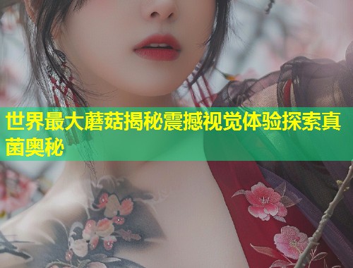 世界最大蘑菇揭秘震撼视觉体验探索真菌奥秘  第1张