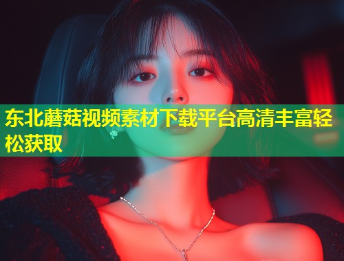 东北蘑菇视频素材下载平台高清丰富轻松获取  第1张
