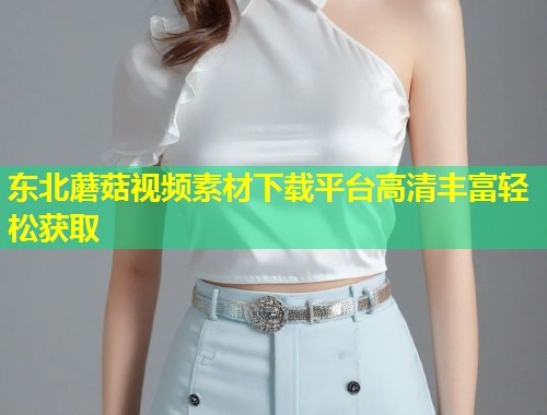 东北蘑菇视频素材下载平台高清丰富轻松获取  第2张