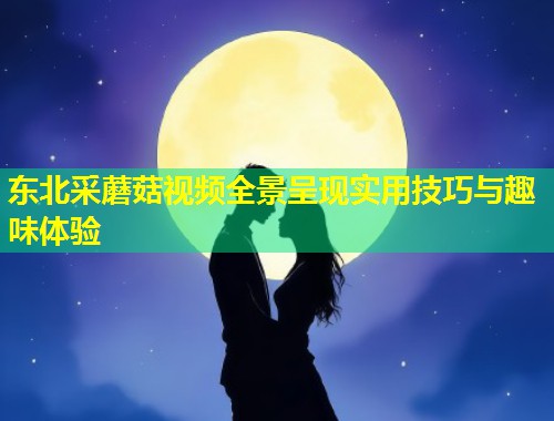 东北采蘑菇视频全景呈现实用技巧与趣味体验  第1张