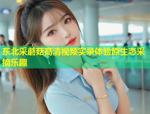 东北采蘑菇高清视频实录体验原生态采摘乐趣  第1张