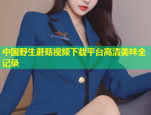 中国野生蘑菇视频下载平台高清美味全记录  第2张