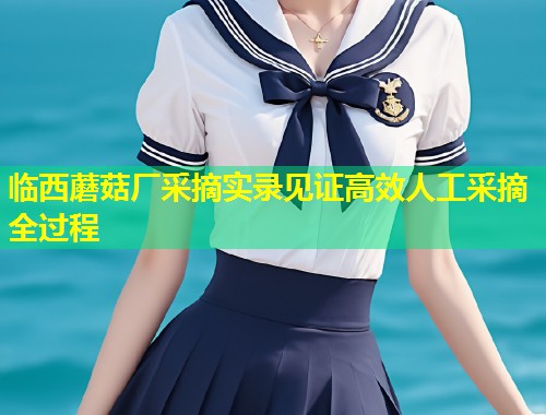 临西蘑菇厂采摘实录见证高效人工采摘全过程  第1张