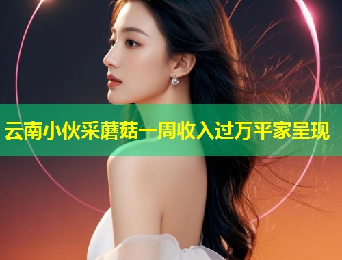 云南小伙采蘑菇一周收入过万平家呈现  第1张