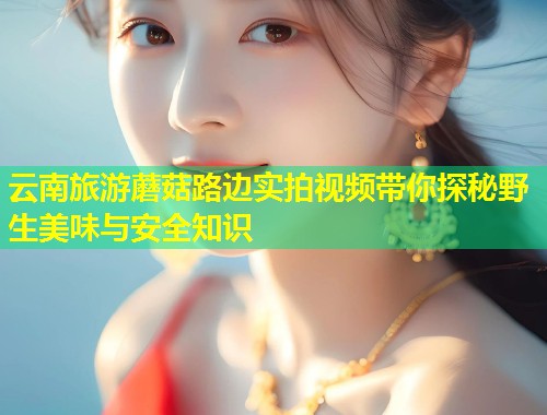云南旅游蘑菇路边实拍视频带你探秘野生美味与安全知识  第1张
