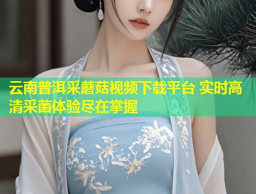 云南普洱采蘑菇视频下载平台 实时高清采菌体验尽在掌握  第1张