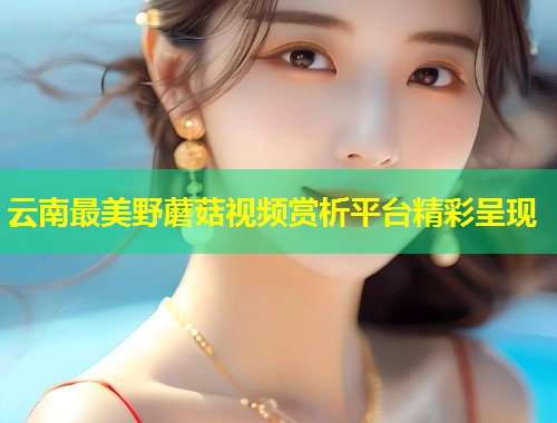 云南最美野蘑菇视频赏析平台精彩呈现  第1张