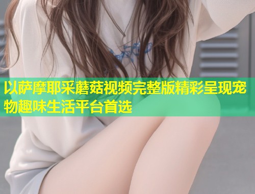 以萨摩耶采蘑菇视频完整版精彩呈现宠物趣味生活平台首选  第2张